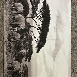 Black and White Elephant Wall Art